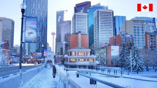 CALGARY After Snowfall  Downtown City Walk  4K Canada 🇨🇦 Travel vlog [upl. by Norwood]