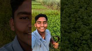 Ranat li kam …🌱🌊👍 minivlog shetkariputra vairalvideo shetkaripor vlog shetakriputra bail [upl. by Nedac228]