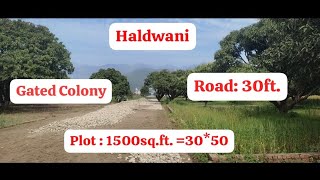 plot for sale haldwanihaldwaniplotwala  March 2024 [upl. by Jurdi]