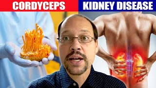 Cordyceps and Kidney Disease Herbal Remedies For Kidney Disease Cordyceps Mushroom Herbs and CKD [upl. by Eicnan925]