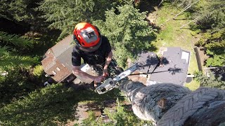 Tree Rigging  Vertical Zipline [upl. by Haroldson243]