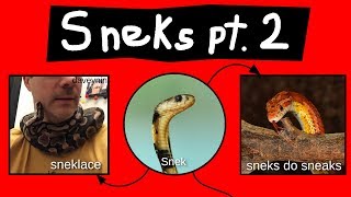 Internet Names for Snakes  Part 2 [upl. by Heyes]