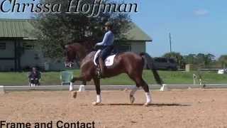 Dressage training for getting the frame and contact you want [upl. by Veronica289]