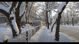 Tallinn  4K  Winter evening in city centre  2021 [upl. by Anoyet804]