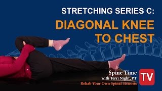 Stretching Series C  for Lumbar Spinal Stenosis [upl. by Shiekh425]