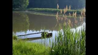 Naturgeräusche am Waldweiher [upl. by Adnarahs326]