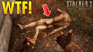 STALKER 2  TOP 100 WTF amp FUNNY Moments 2 [upl. by Jeniece251]