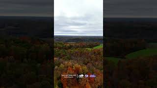 2024 Fall Foliage Tour  Minor Hill Tennessee [upl. by Tamsky]