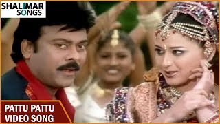 Shankar Dada MBBS  Pattu Pattu Video Song  Chiranjeevi  Sonali Bendre  Devi Sri Prasad [upl. by Luamaj]