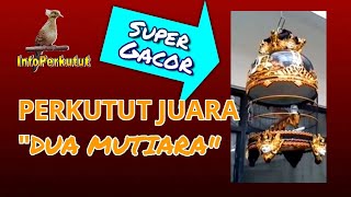 DUA MUTIARA  PERKUTUT JUARA INDONESIA  Super Gacor [upl. by Sherburne]