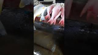 take a walk in Chaguanas fish market part 1 [upl. by Aronek]