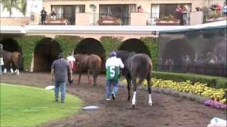 Zenyatta Dancing at Del Mar 2010 [upl. by Venable856]