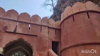 Ranthambore jungle safari the earth luxury resort saw tiger [upl. by Dallas]