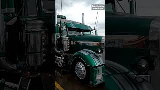 shorts THE GOOSE Freightliner Super Bunk Truck At Iowa 80 Truck Stop [upl. by Aivatal]