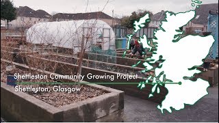 Scottish Land Commission  Vacant amp Derelict Land Shettleston Growing Project [upl. by Cooke13]