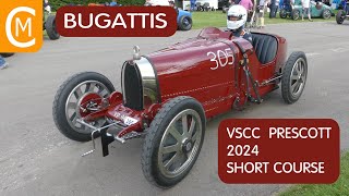 VSCC Prescott 2024 Short Course Bugattis [upl. by Selrahcnhoj]