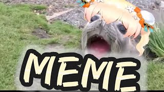 NENE SEAL MEMES COMPILATION 1 [upl. by Genet]