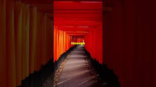 Fushimi Inari Shrine in Kyoto Japan  MUST SEE japan travel kyoto [upl. by Karr517]