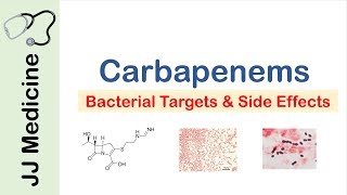 Carbapenems  Bacterial Targets Mechanism of Action Side Effects [upl. by Freeborn]