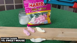 013 Electric Tacker vs Haribo Sweet Mouse [upl. by Asirrak]