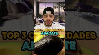 ABACATE  TOP 3 CURIOSIDADES [upl. by Klecka]