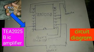 TEA2025B ic amplifier circuit diagram [upl. by Thom172]