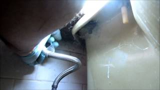 toilet leaking water on floor at times [upl. by Drarig]