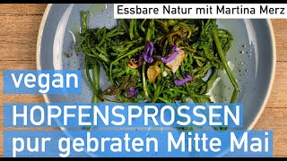 Hopfensprossen – vegan gebraten ganz pur Ein tolles Basisrezept Mitte Mai [upl. by Dlawso367]