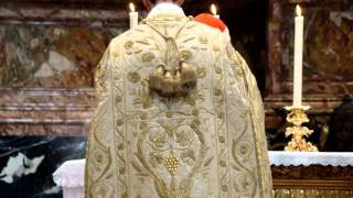 Latin Mass Card Brandmüller Rome 2011 Saint Peters Basilica  Incense [upl. by Annahsor871]