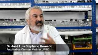 Conecta la ciencia Dr José Luis Stephano [upl. by Lacym]