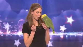 Cute Educated Parrot on Americas Got Talent [upl. by Raycher]