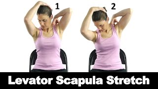 Levator Scapula Stretch  Ask Doctor Jo [upl. by Malvina]