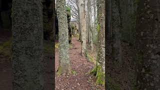 sentier SainteOdile Bon dimanche des Rameaux [upl. by Yeruoc578]