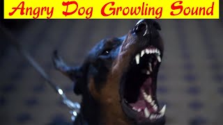 Angry Dog barking sound effect  Doberman growling  Aggressive dog sounds [upl. by Alrak]