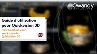 How to adjust your workspace in Quickvision 3D [upl. by Paynter]