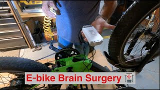 Ebike Controller Replacement Magicycle Deer [upl. by Frerichs]