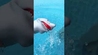 Shark Puppet Takes On The FREEZING POOL CHALLENGE subscribe shorts sharkpuppet [upl. by Freeland]