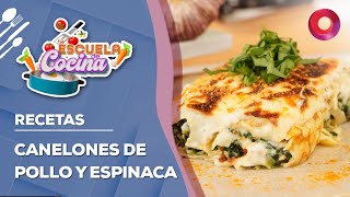 RECETA de CANELONES RELLENOS DE POLLO Y ESPINACA  EscuelaDeCocina [upl. by Vite]