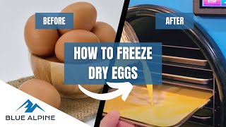 Freeze Drying Eggs [upl. by Eibob]