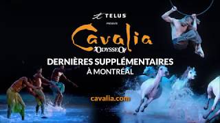 Cavalia Odysséo à Montreal  Dernières supplémentaires [upl. by Alakam]