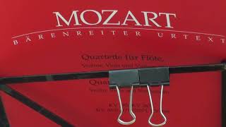 モーツァルト フルート四重奏曲 ニ長調 5 Mozart Flute Quartet in D KV 285 Flötenquartett  Takahashi in JAPAN [upl. by Namyl]