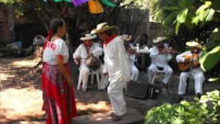 CANCIÓN MI HUETAMO MICHOACÁN CANTA MISAEL IBARRA [upl. by Llesirg476]