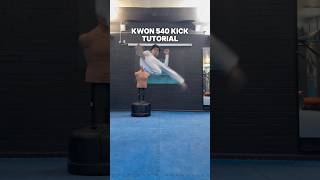 Kain 540 kick tutorial taekowndo tkd martialarts cobrakai boxing mma [upl. by Melc989]