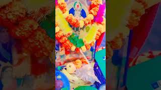 Shree Chitragupta Puja Vidhi chitragupta puja vlog ytshorts festival kayastha srivastava jai [upl. by Harte385]