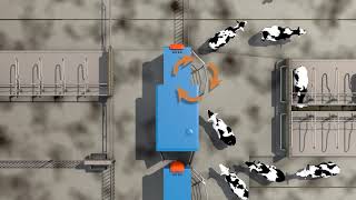 BouMatic Robotics – Milking Robots 3D Tour [upl. by Siroval]