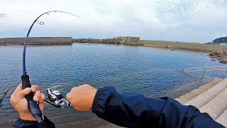 Catching Weird Fish in Japanese Hot Spring [upl. by Evadne206]