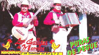 LOS GALLITOS DE MORELOS  PURAS CANCIONES RANCHERAS DE PEGU [upl. by Julio680]