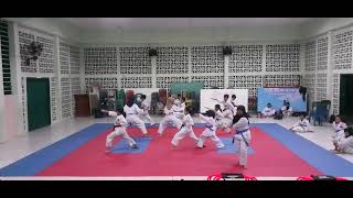 Latihan 151124  KATA  Enpi amp Gojushihodai [upl. by Kcirdde]