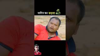 नागिन का बदला😡 story nagin snake amazingfacts factsinhindi shortfeed facts funnynagin [upl. by Lanny]