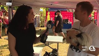 Skunk enthusiasts gather in North Ridgeville to celebrate their favorite little stinkers [upl. by Animsay]